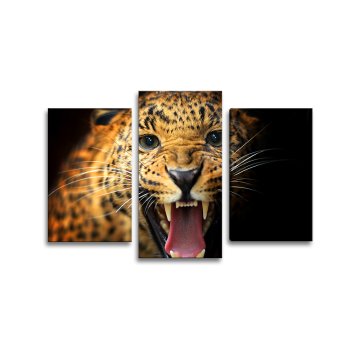 Obraz - 3-dílný Gepard 2