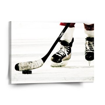 Obraz Ľadový hokej
