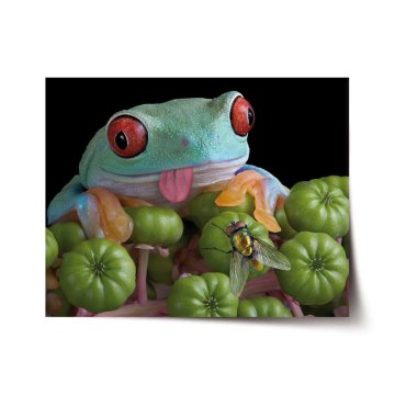 Plakát Veselá žaba