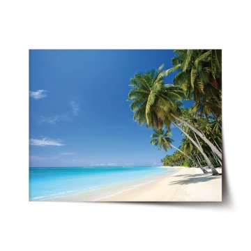 Plakát Palmová pláž