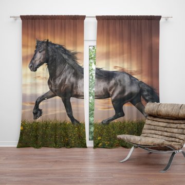 Závěs Friský kůň: 2ks 150x250cm