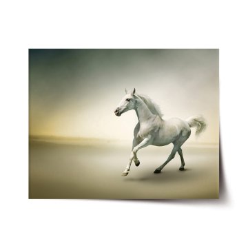 Plakát Biely kôň 2