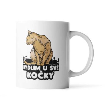 Hrnček Bydlím u své kočky: 330 ml