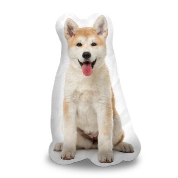 Akita Inu