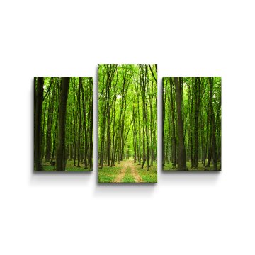 Obraz - 3-dílný Cesta v lese