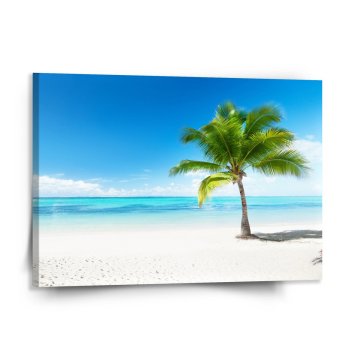 Obraz Palma na pláži