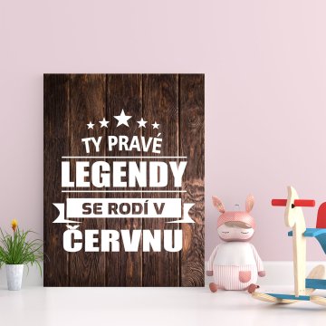 Darčeková ceduľka Ty pravé legendy se rodí v červnu: 30x40 cm