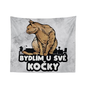 Deka Bydlím u své kočky: 150x120 cm