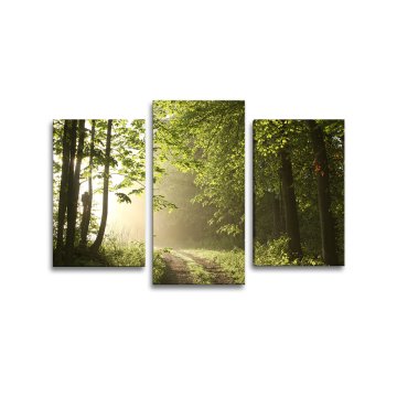 Obraz - 3-dílný Lesní cesta